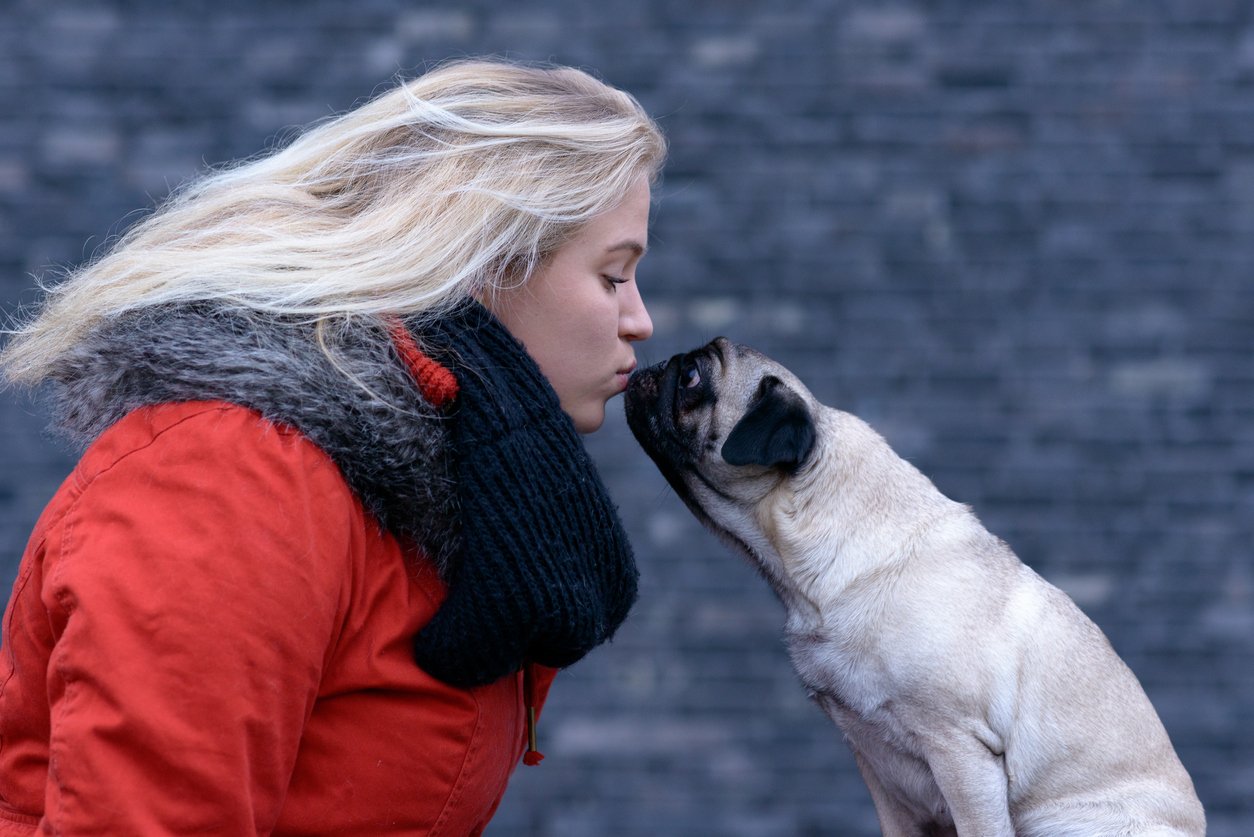 do london cabs take dogs