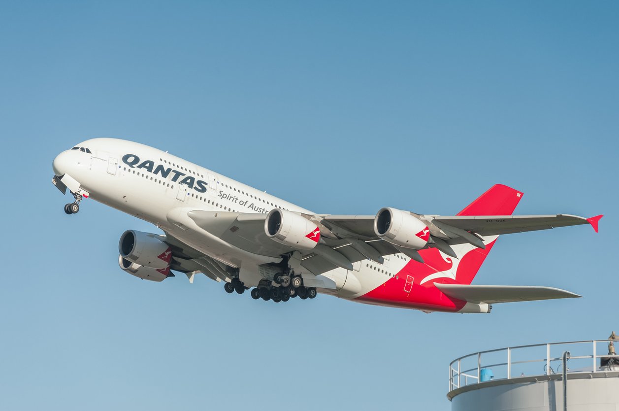 Qantas fashion cat transport